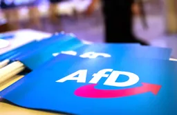 Rechtsextrem-Stempel: Wie mit der AfD umgehen?